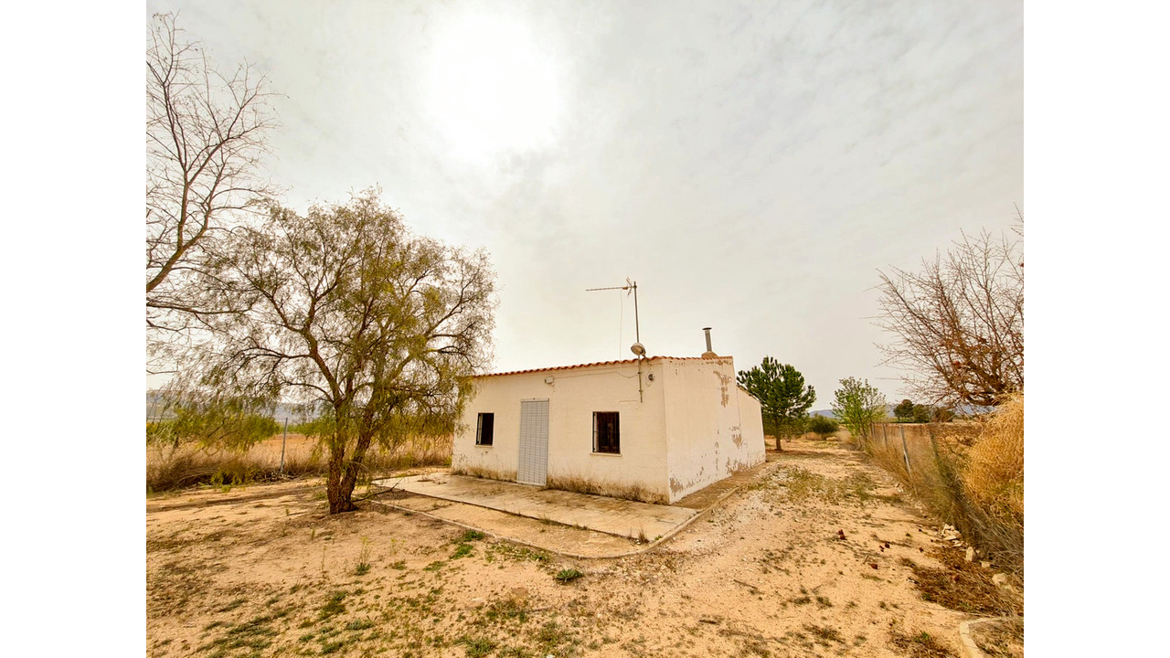 Olive Grove Estates Pinoso Alicante Renovation Vill project (2)_edited