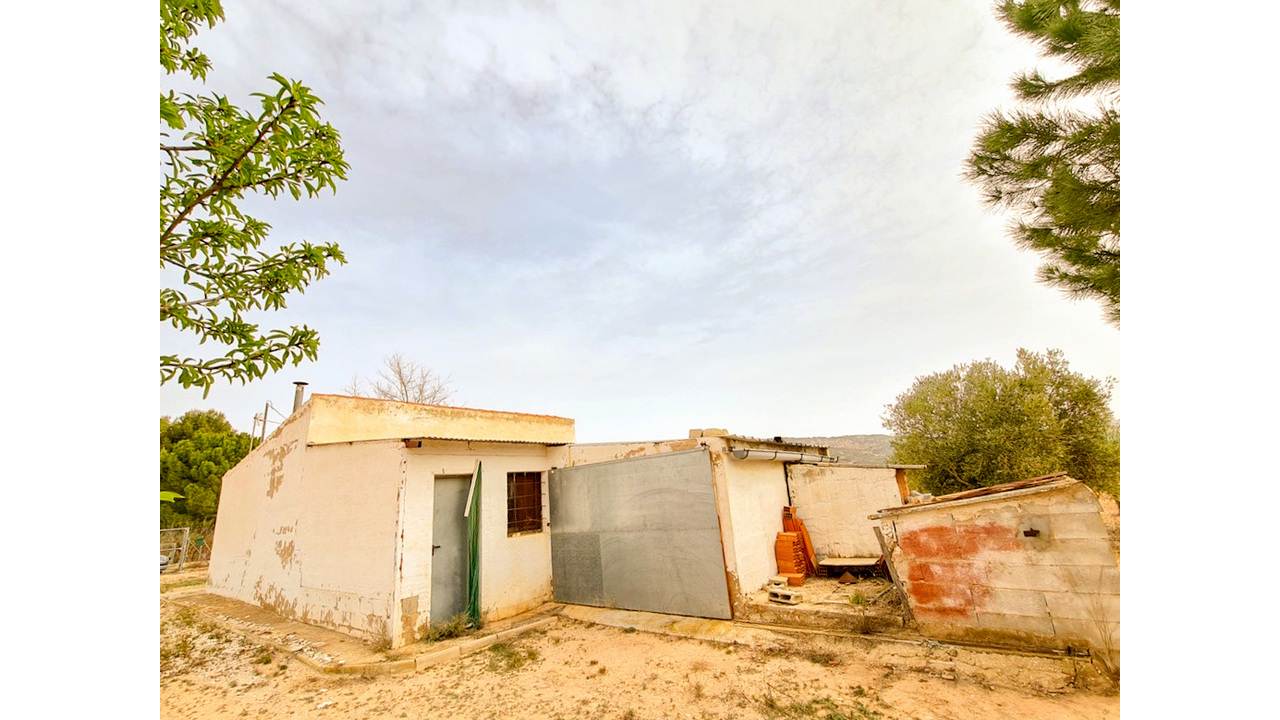 Olive Grove Estates Pinoso Alicante Renovation Vill project (5)_edited