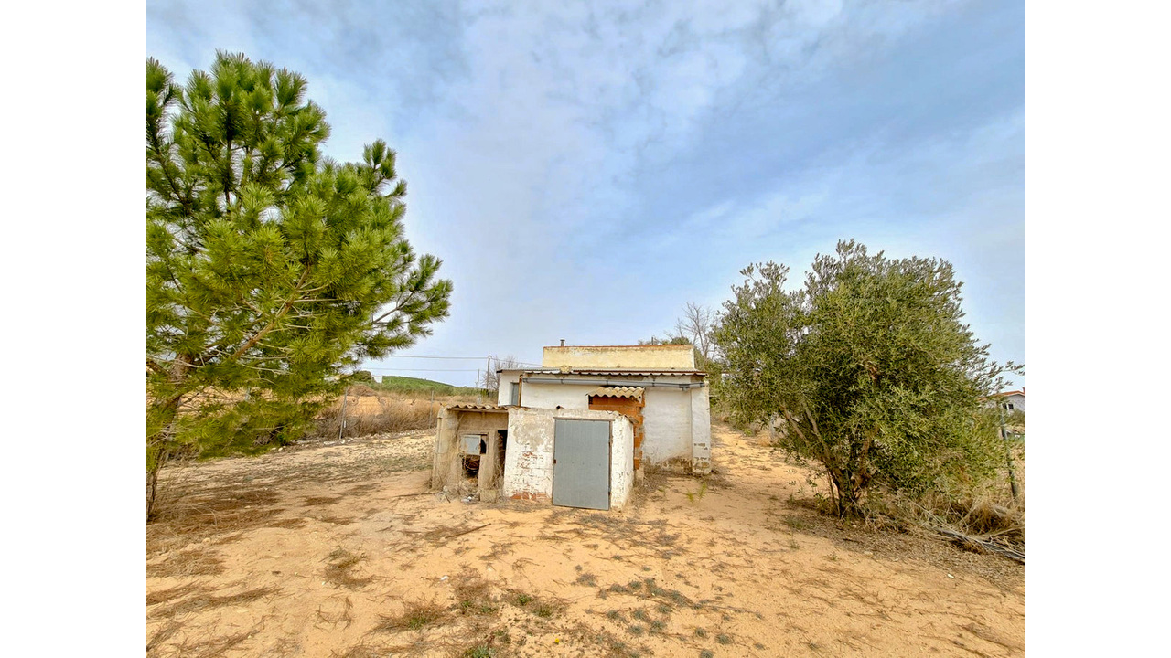 Olive Grove Estates Pinoso Alicante Renovation Vill project (7)_edited