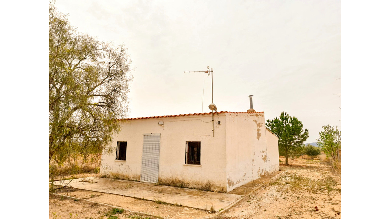 Olive Grove Estates Pinoso Alicante Renovation Vill project (8)_edited