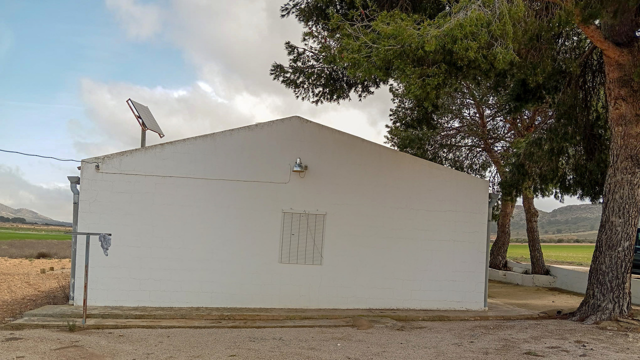 OLive Grove Estates Yecla Murcia Spanish Property Dreams (4)