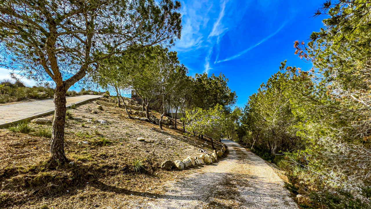 Olive Grove Estates (44)