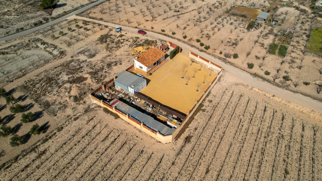 Olive Grove Estates Sax Alicante Spanish Property Country House Campo Casa (1)