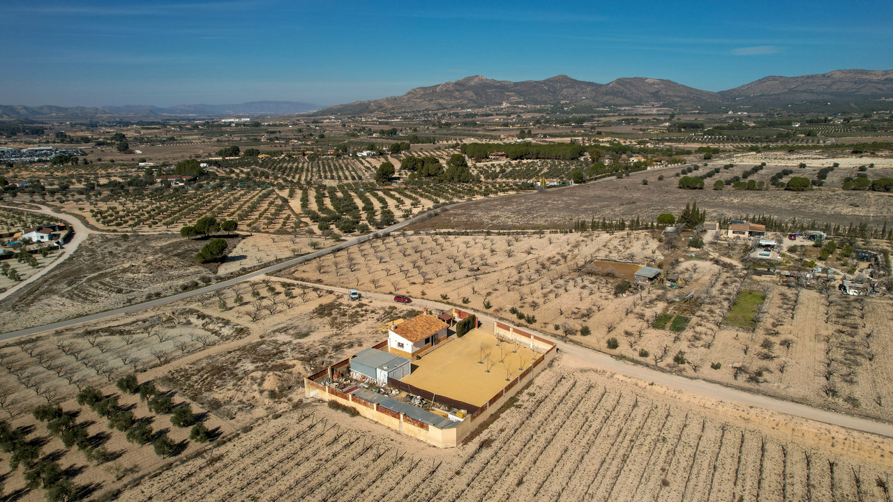 Olive Grove Estates Sax Alicante Spanish Property Country House Campo Casa (2)