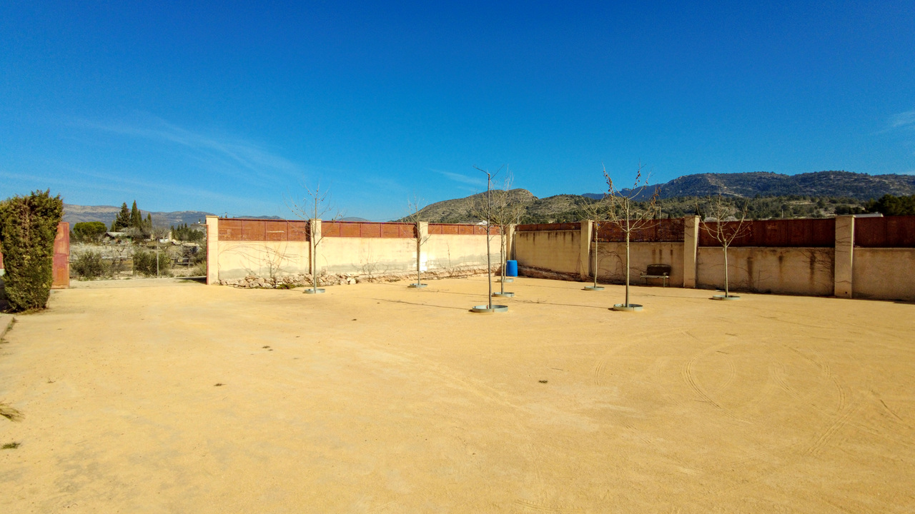 Olive Grove Estates Sax Alicante Spanish Property Country House Campo Casa (16)