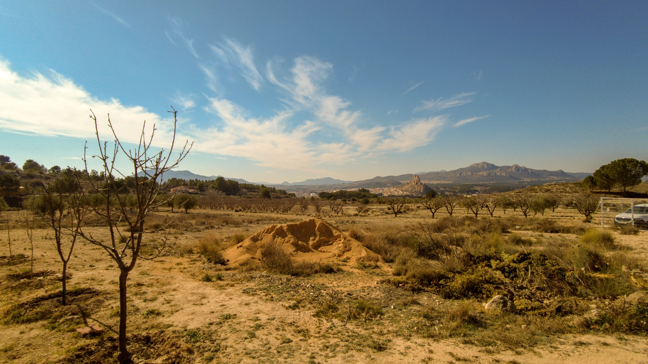 Olive Grove Estates Sax Alicante Spanish Property Country House Campo Casa (27)