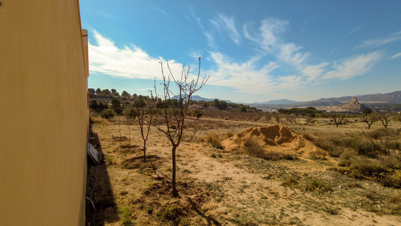 Olive Grove Estates Sax Alicante Spanish Property Country House Campo Casa (28)