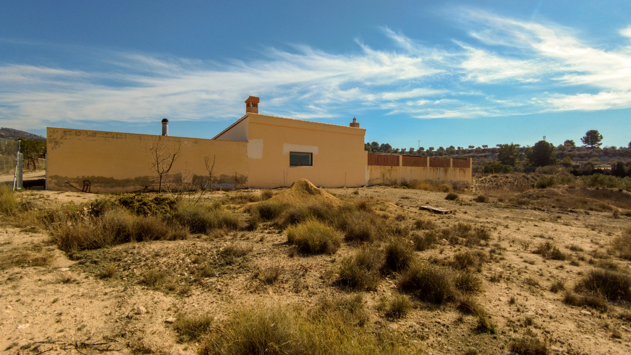 Olive Grove Estates Sax Alicante Spanish Property Country House Campo Casa (29)