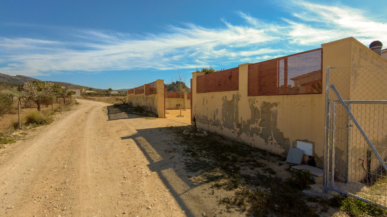 Olive Grove Estates Sax Alicante Spanish Property Country House Campo Casa (30)