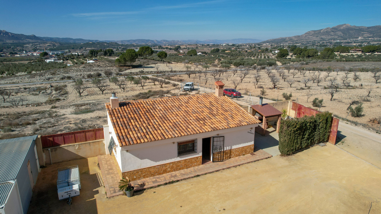 Olive Grove Estates Sax Alicante Spanish Property Country House Campo Casa (32)