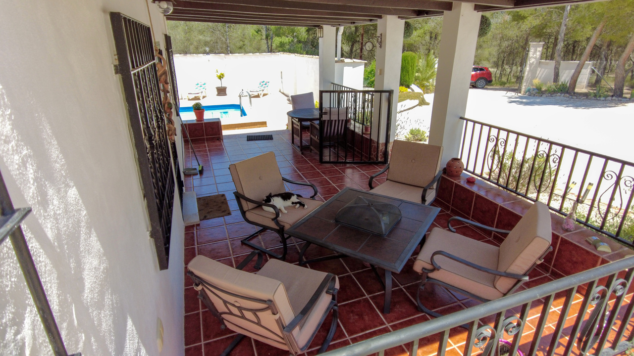 Olive Grove Estates Sax Alicante Property for sale Spain (14)