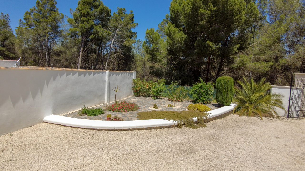 Olive Grove Estates Sax Alicante Property for sale Spain (61)