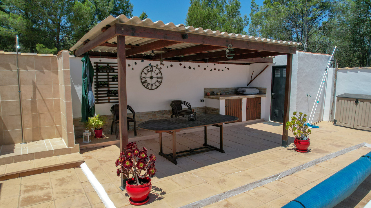 OLive grove Estates Sax Alicante Spanish house for sale B&B (1)_edited