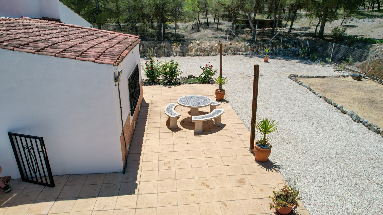 OLive grove Estates Sax Alicante Spanish house for sale B&B (3)_edited