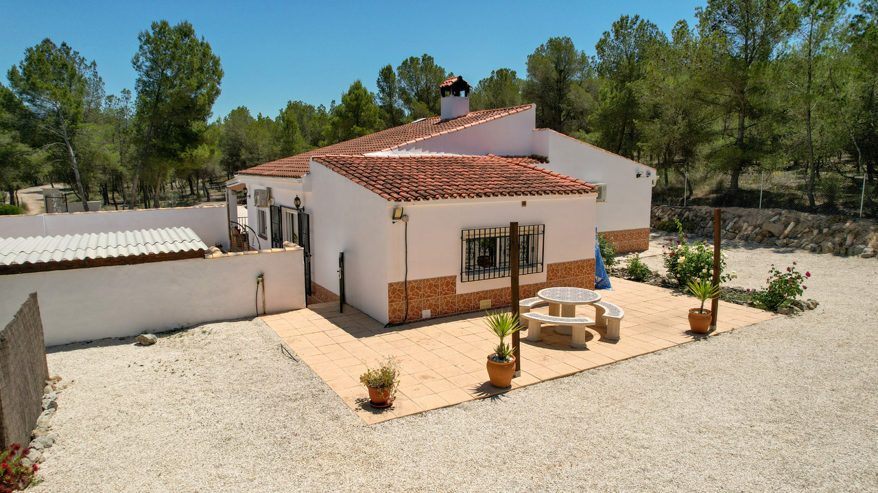 OLive grove Estates Sax Alicante Spanish house for sale B&B (4)_edited