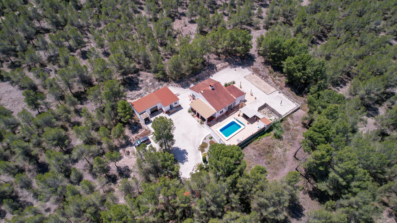 OLive grove Estates Sax Alicante Spanish house for sale B&B (7)_edited