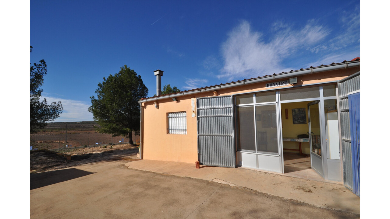Olive Grove Estates Bargain Country House Pinoso Alicante (3)
