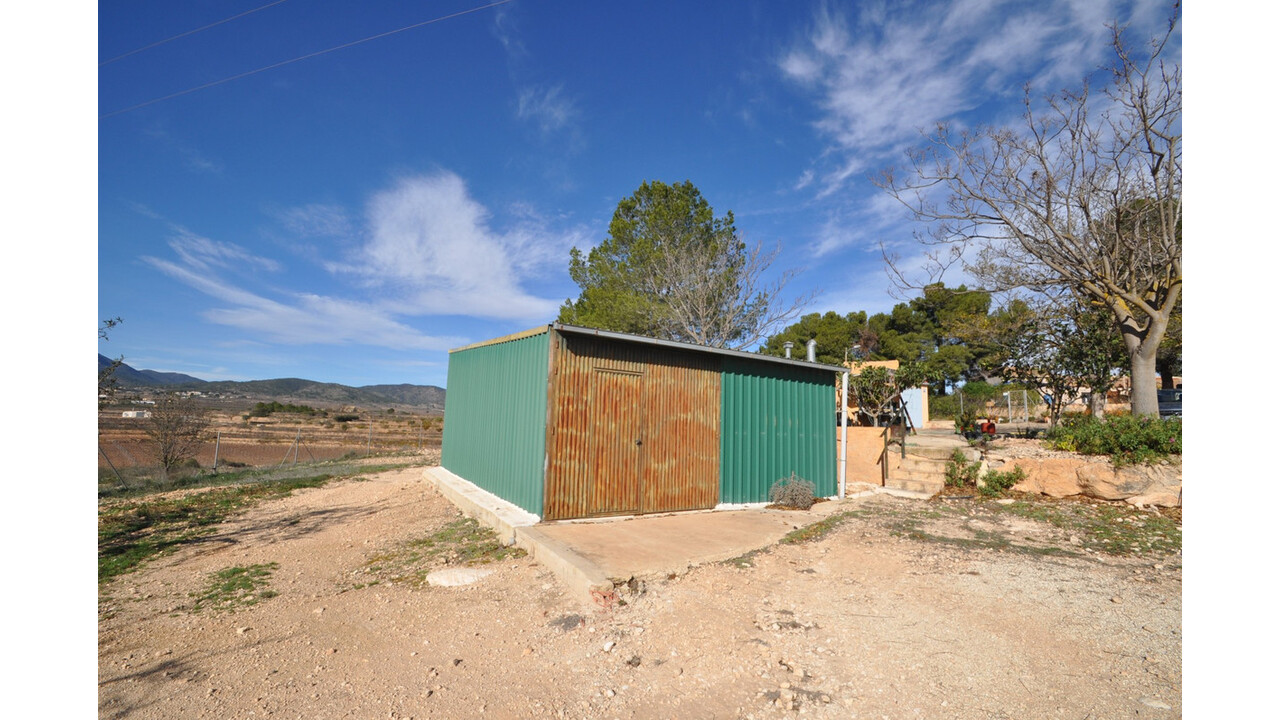 Olive Grove Estates Bargain Country House Pinoso Alicante (4)