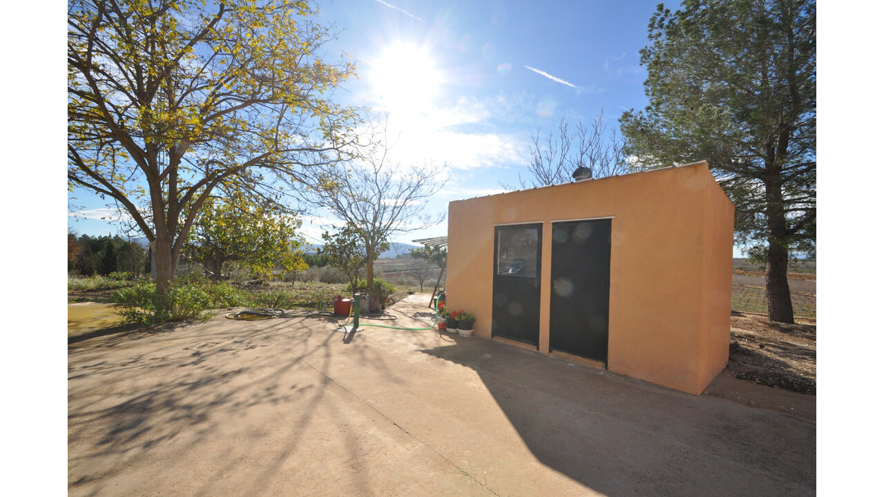 Olive Grove Estates Bargain Country House Pinoso Alicante (5)