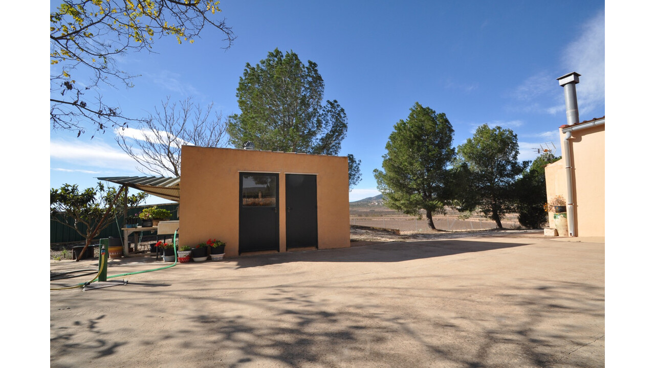 Olive Grove Estates Bargain Country House Pinoso Alicante (8)