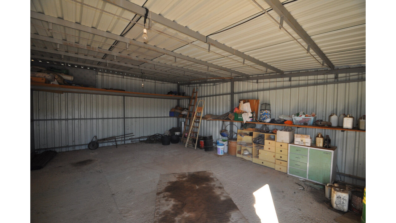 Olive Grove Estates Bargain Country House Pinoso Alicante (9)