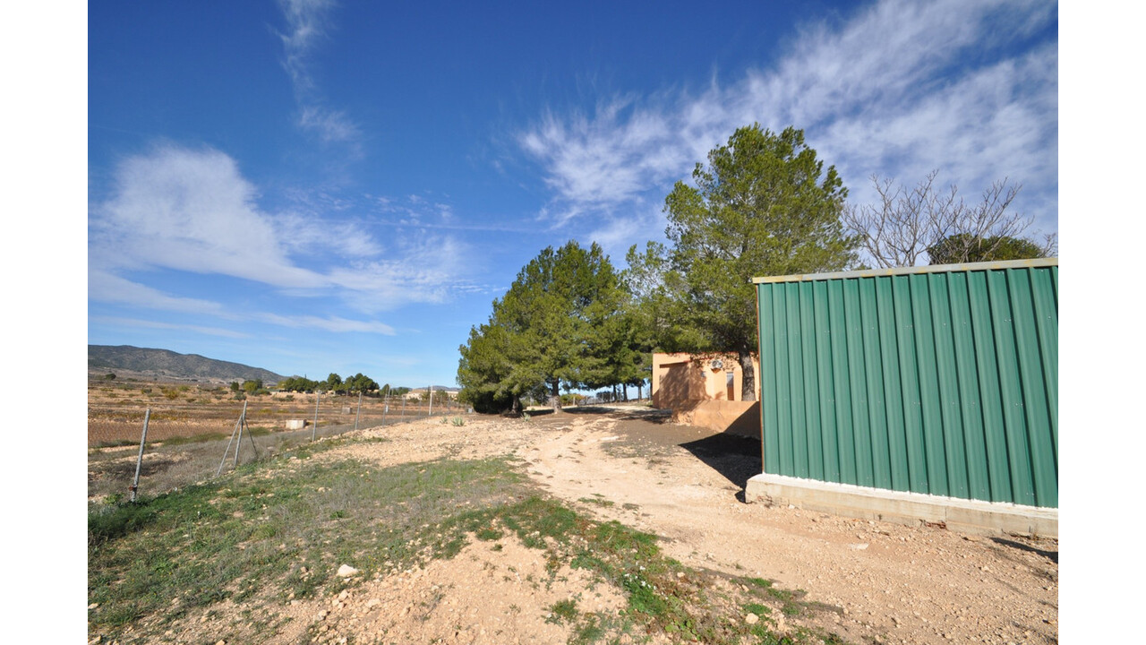Olive Grove Estates Bargain Country House Pinoso Alicante (13)