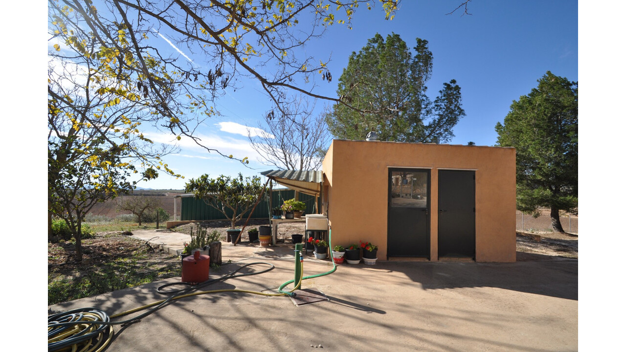 Olive Grove Estates Bargain Country House Pinoso Alicante (20)