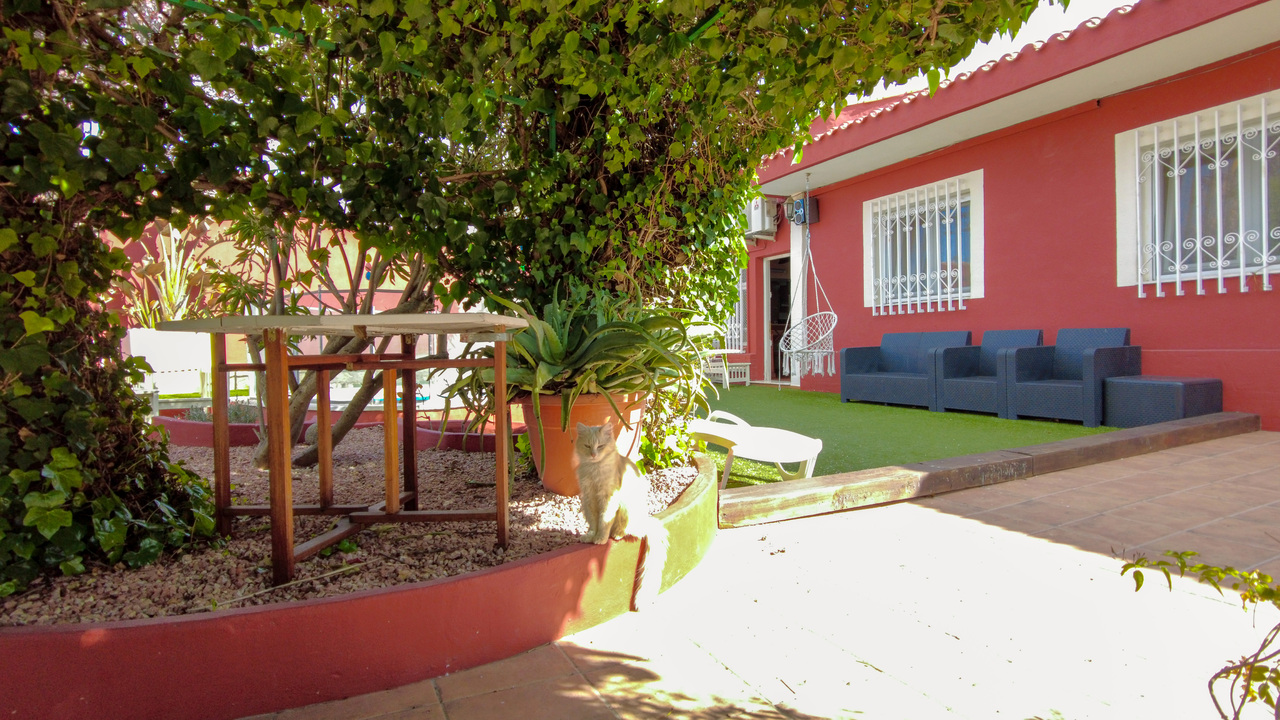 Olive Grove Estates Biar Double House Alicante Buy a Home in Spain (3)