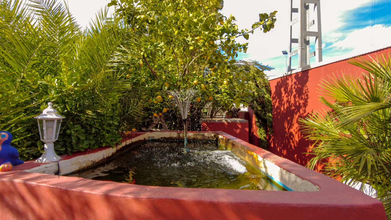Olive Grove Estates Biar Double House Alicante Buy a Home in Spain (4)