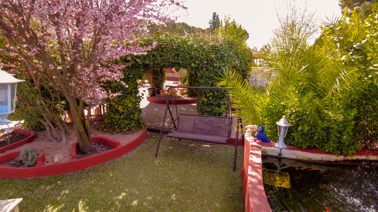 Olive Grove Estates Biar Double House Alicante Buy a Home in Spain (8)