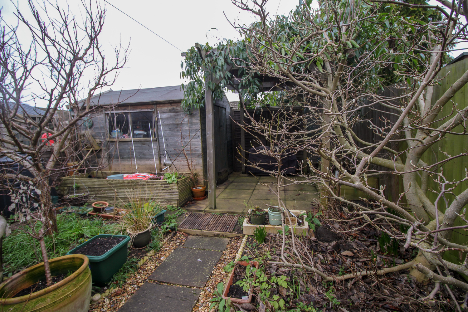 Rear garden