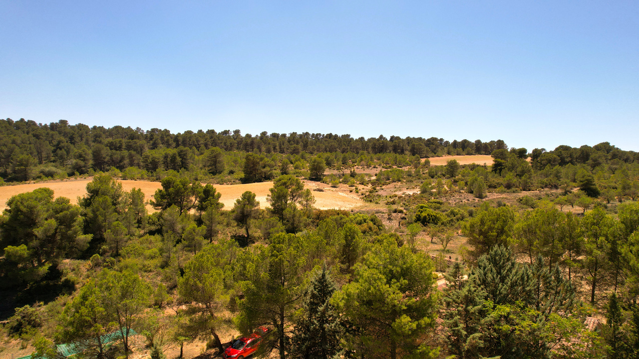 Off Grid Property Spain Olive Grove Estates reccomended Inland Trusted Inmobilliaria (8)