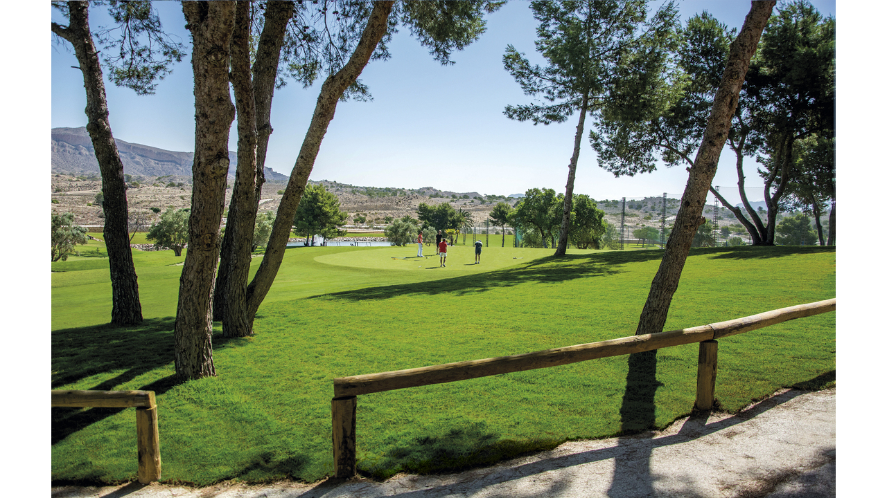 Allure Alenda Golf Apartments Cheap Olive Grove Estates (23)