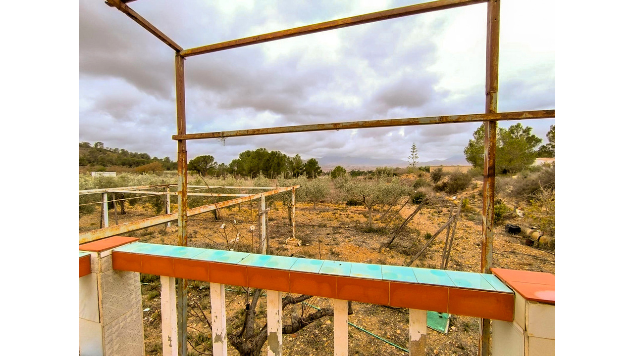 Olive Grove Estates La Romana Alicante Country renovation Project (2)
