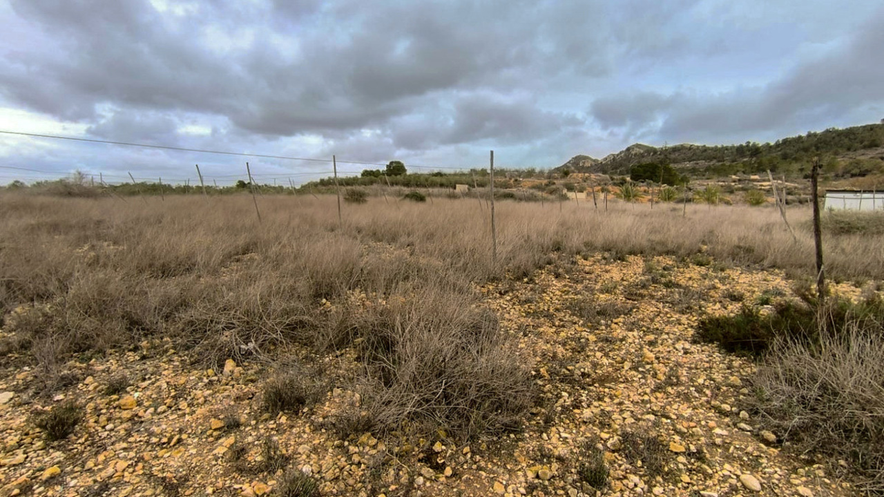 Olive Grove Estates La Romana Alicante Country renovation Project (7)