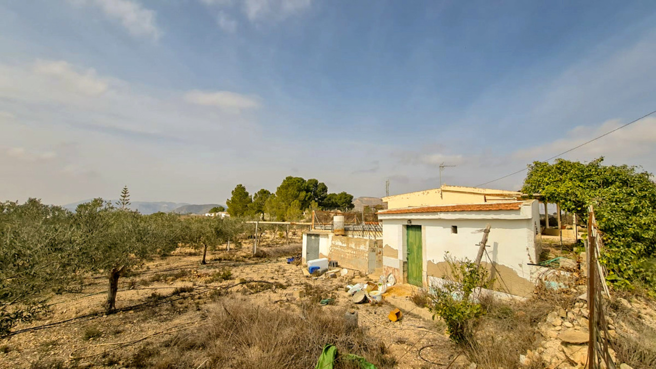 Olive Grove Estates La Romana Alicante Country renovation Project (16)