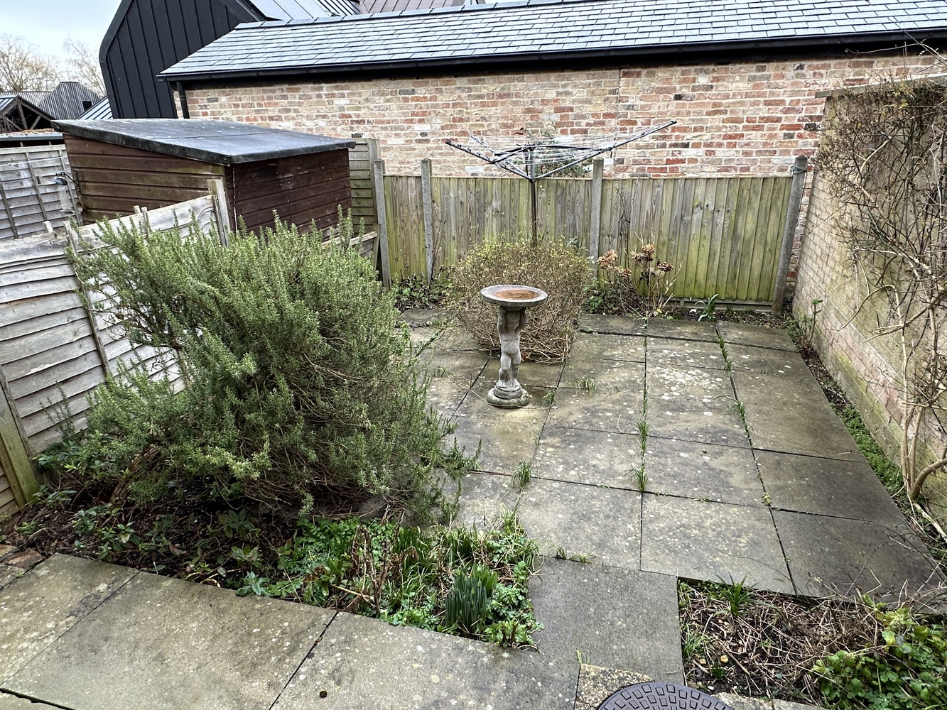 Garden.JPG