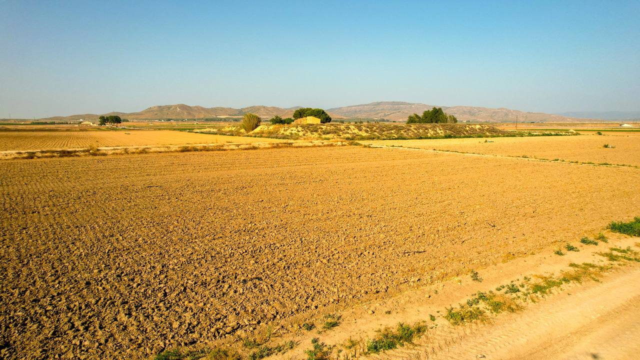 Olive Grove Estates Bargain Property for sale in Spain (21)