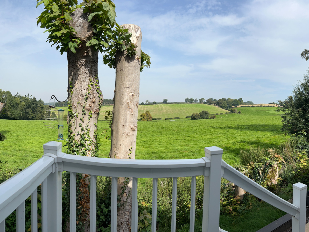 31 Tower Court - pano