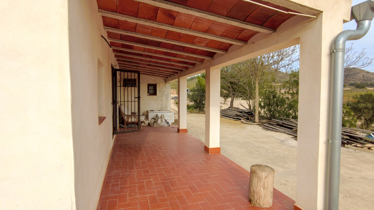 Olive Grove Estates Real Estate Spanish Retreat Peaceful Alicante Caudete Yecla (5)