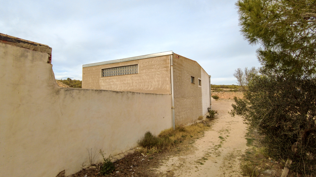Olive Grove Estates Real Estate Spanish Retreat Peaceful Alicante Caudete Yecla (7)