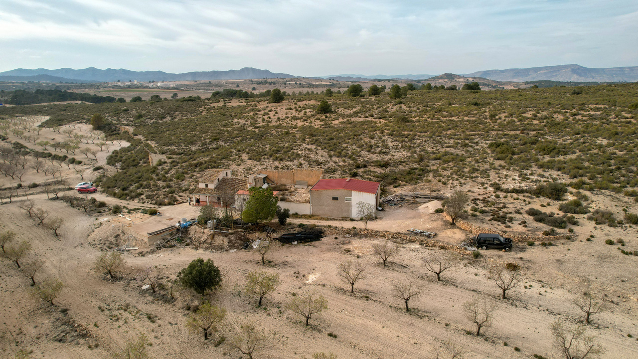 Olive Grove Estates Real Estate Spanish Retreat Peaceful Alicante Caudete Yecla (8)