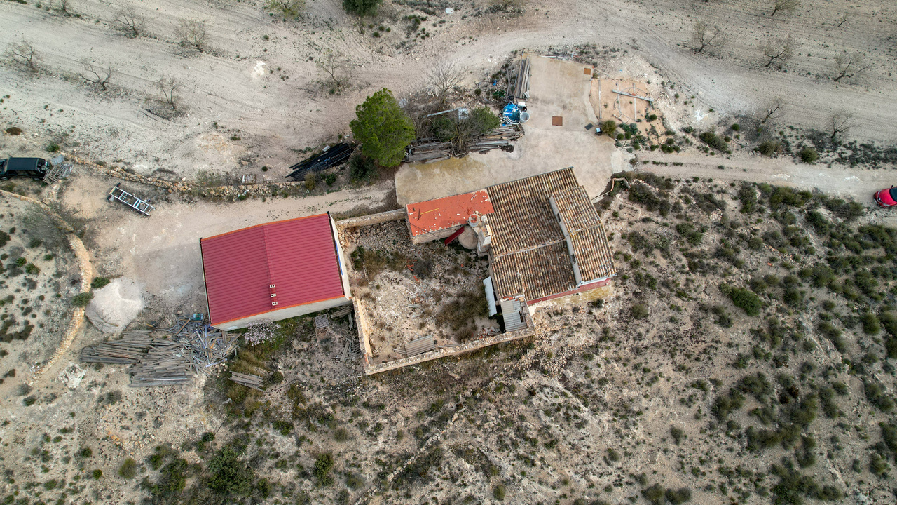 Olive Grove Estates Real Estate Spanish Retreat Peaceful Alicante Caudete Yecla (12)