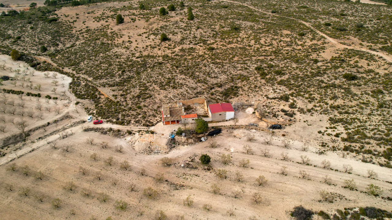 Olive Grove Estates Real Estate Spanish Retreat Peaceful Alicante Caudete Yecla (13)