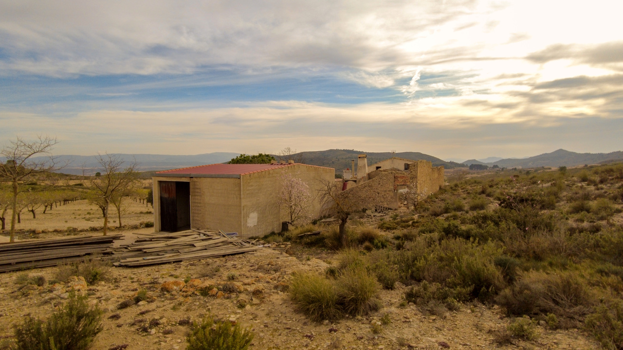 Olive Grove Estates Real Estate Spanish Retreat Peaceful Alicante Caudete Yecla (41)