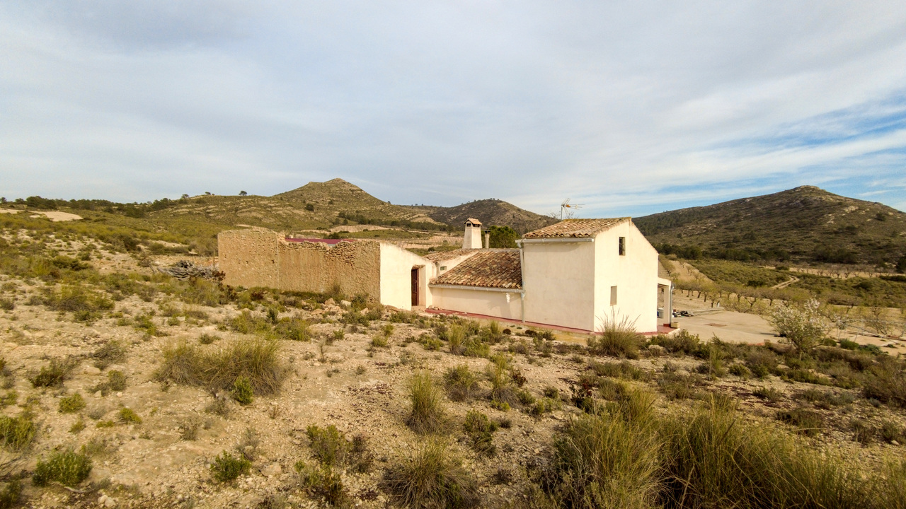 Olive Grove Estates Real Estate Spanish Retreat Peaceful Alicante Caudete Yecla (42)