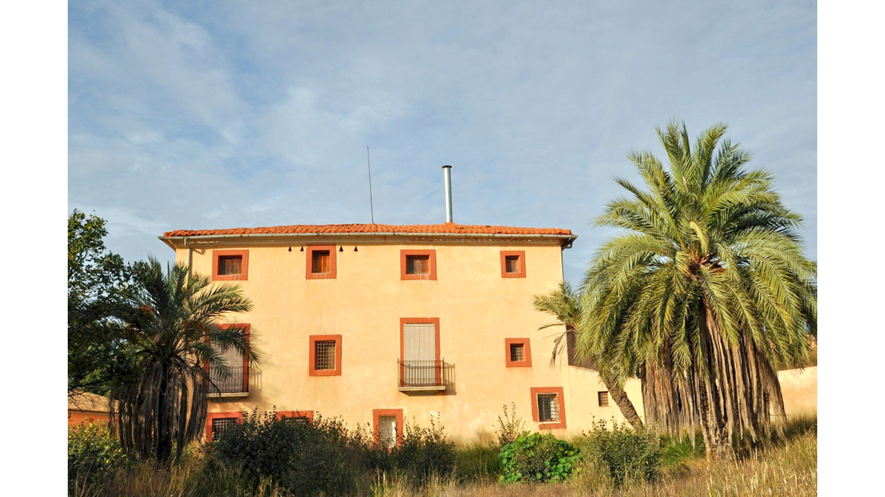 Olive Grove Estates number 1 in spain Pinoso country property grand (4)