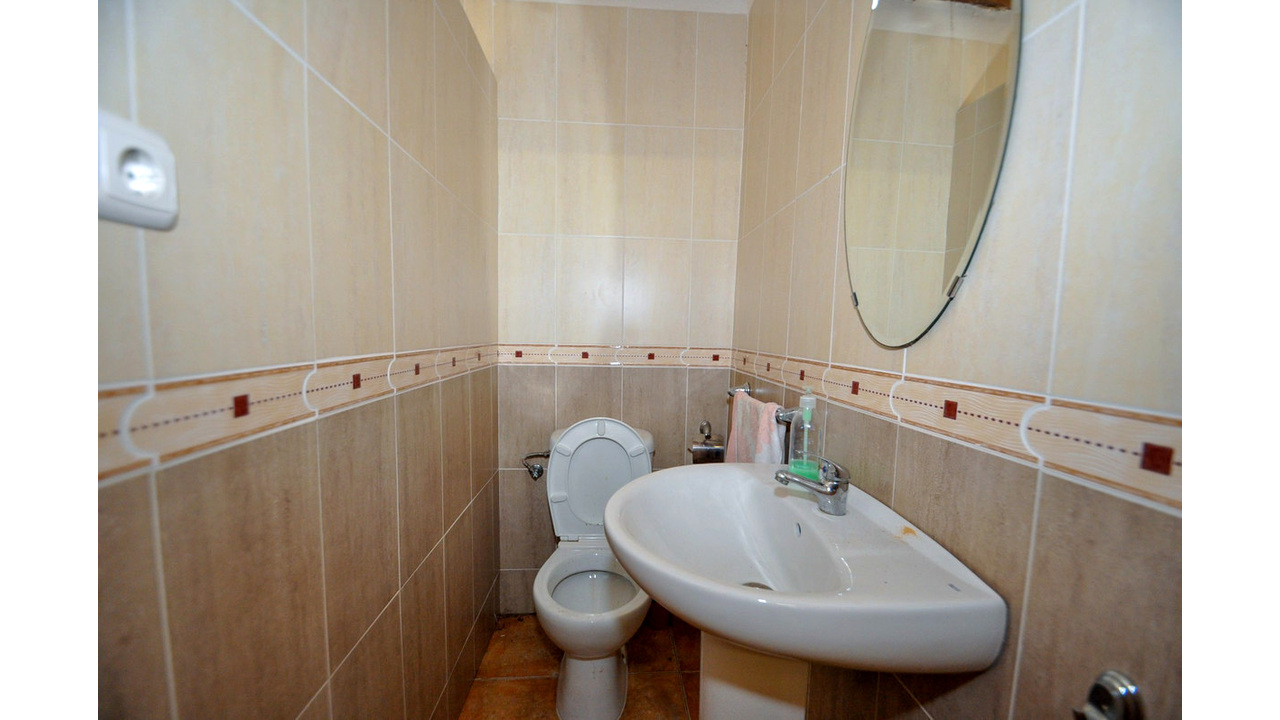 Olive Grove Estates number 1 in spain Pinoso country property grand (18)