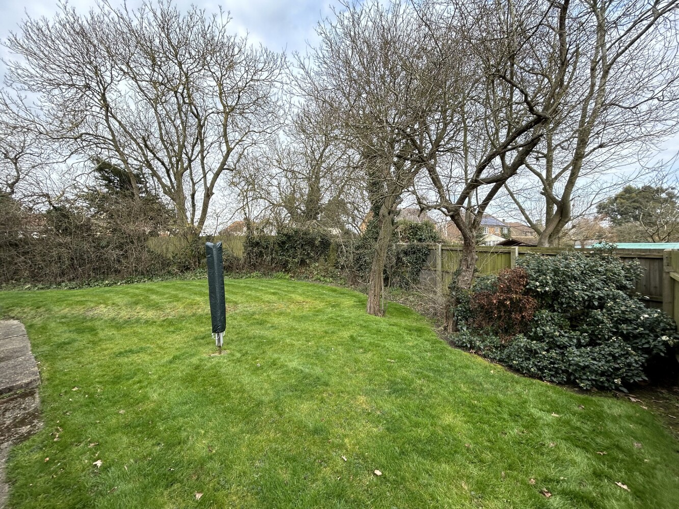 Garden 3
