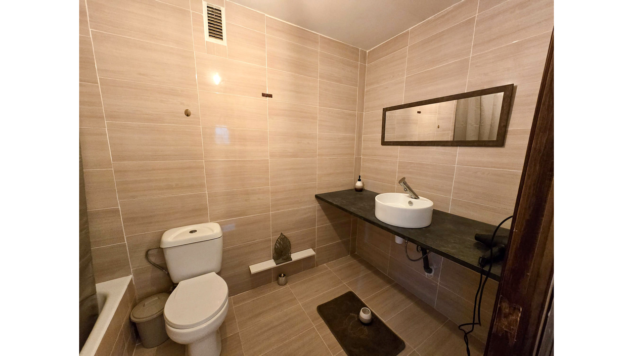 Olive Grove Estates Sax Apartment Alicante Bargain Central Spain  (6)